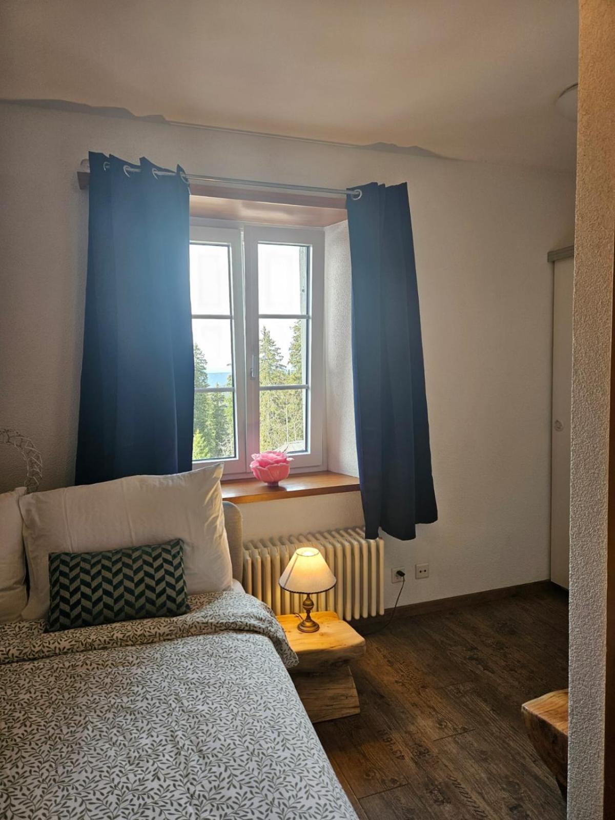 Hotel Restaurant Du Marchairuz Le Brassus Екстер'єр фото