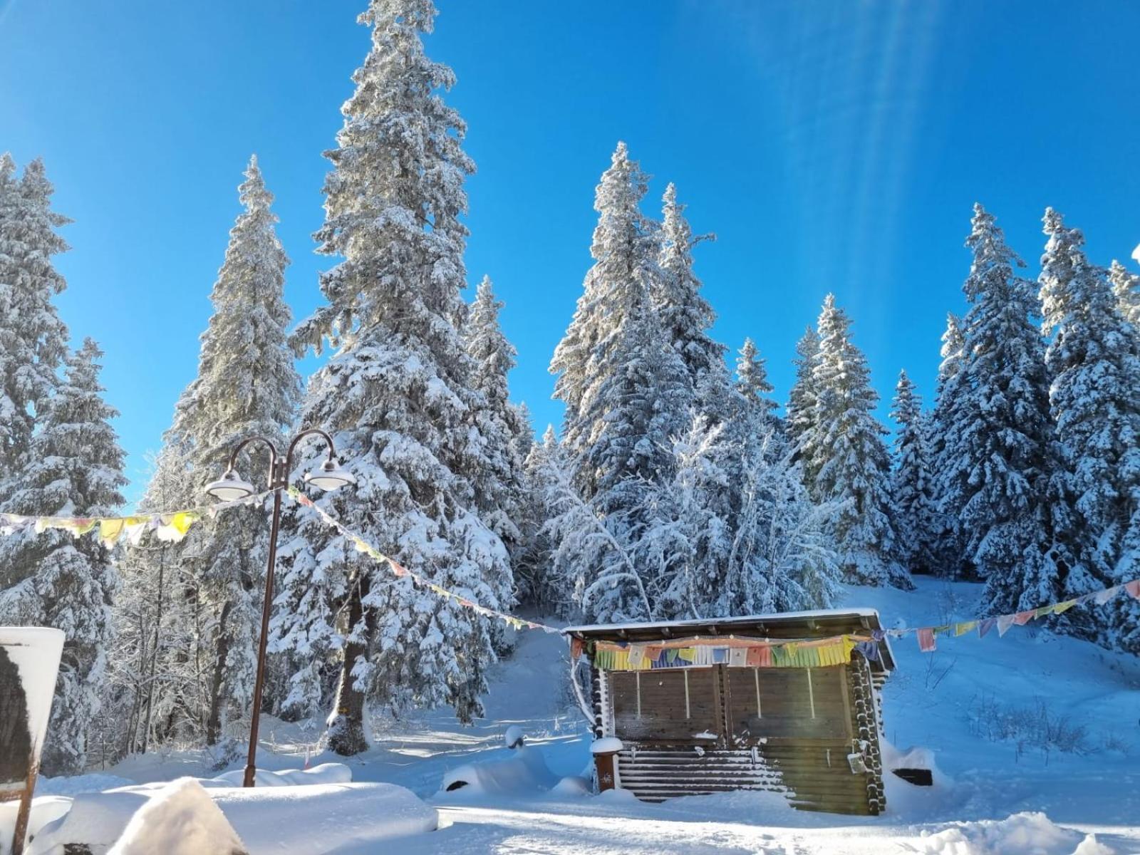 Hotel Restaurant Du Marchairuz Le Brassus Екстер'єр фото